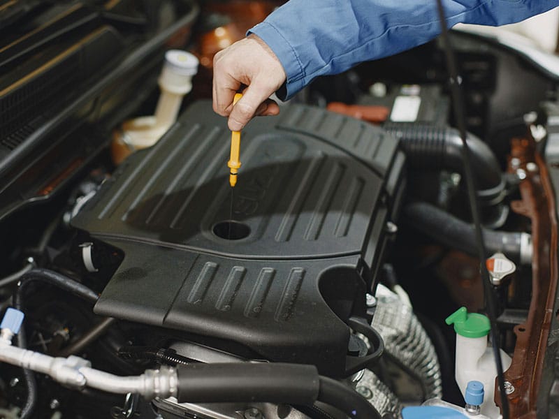 checking oil on car